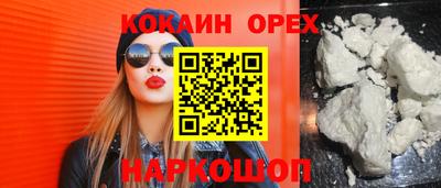 сатива Новозыбков