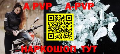сатива Новозыбков