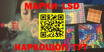 сатива Новозыбков