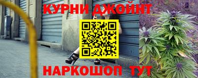 сатива Новозыбков