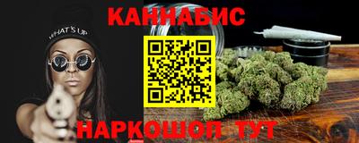 сатива Новозыбков