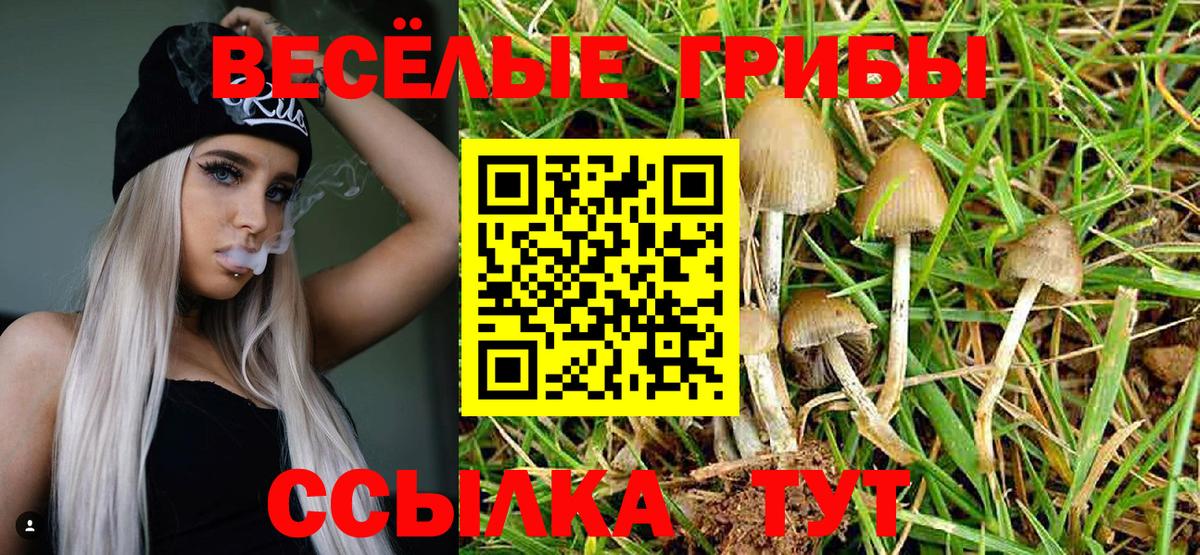 Псилоцибиновые грибы ЛСД Туапсе