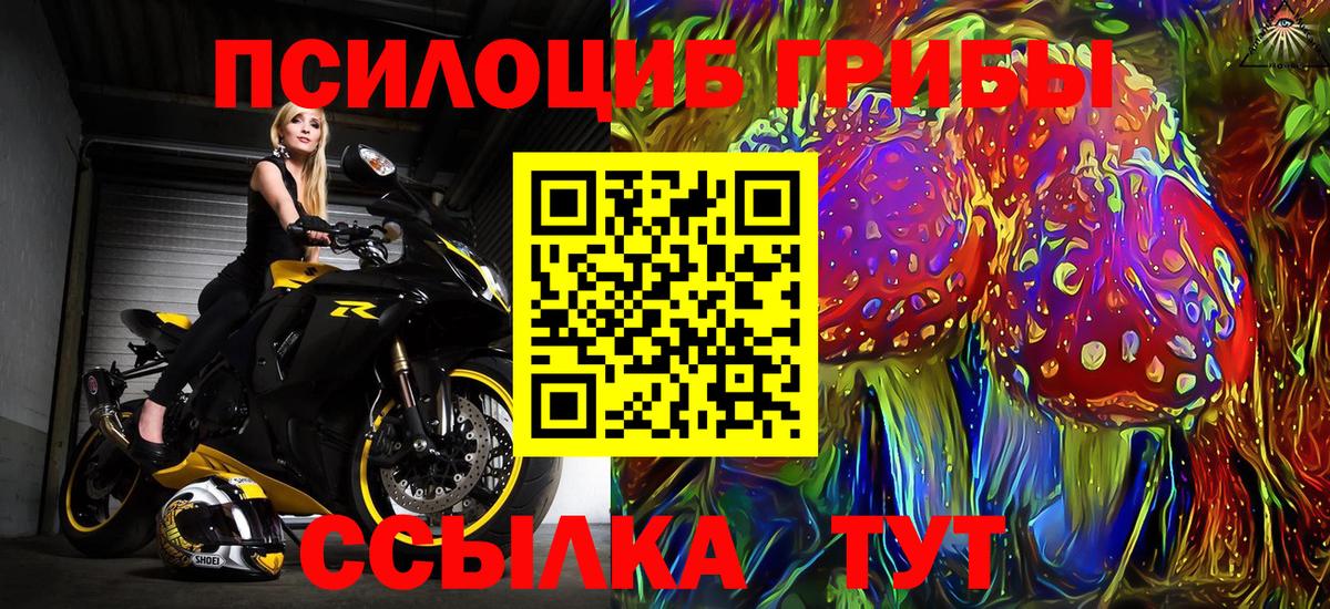 сколько стоит  Псилоцибиновые грибы Cubensis  Вход с VPN  Туапсе 